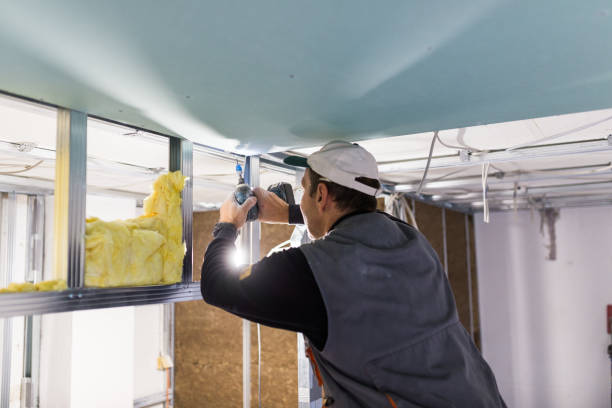Best Eco-Friendly Insulation in Naranja, FL