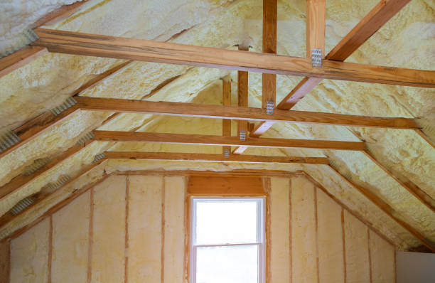 Best Insulation Maintenance and Repair in Naranja, FL