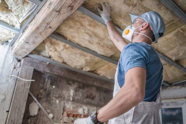 Types of Insulation We Offer in Naranja, FL