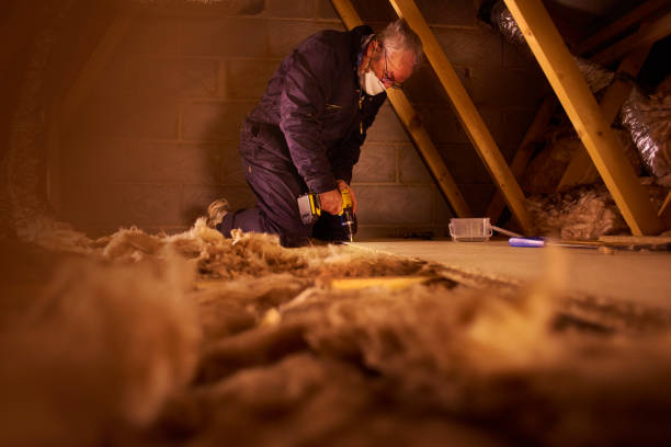 Professional Insulation Contractor in Naranja, FL
