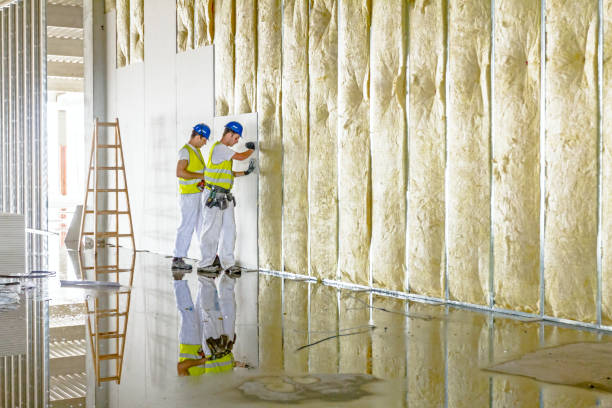 Best Energy Efficiency Insulation in Naranja, FL